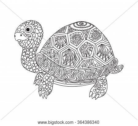 Cute Turtle With Coloring Patterns For Children And Adults. Dud And Zen, Meditation, Relaxation.