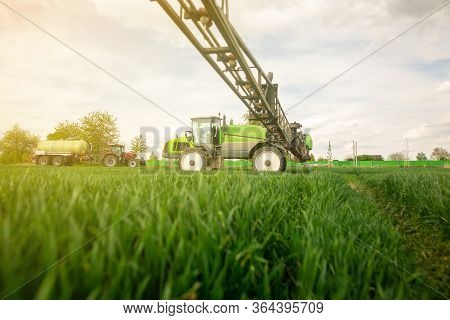 Tractor Spraying Pesticides, Fertilizing On The Vegetable Field With Sprayer At Spring, Fertilizatio