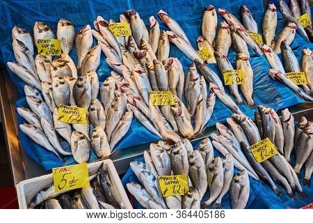 Various Fish On The Counter Fish Shop In Istanbul.