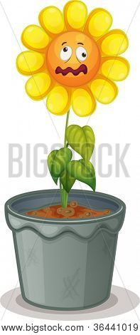 ภาพประกอบของดอกไม้ในหม้อ