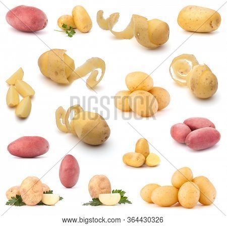 potato isolated on white background. Set of different composition of potatoes.