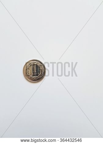 Coins, Money, Zloty On White. Background With Copyspace