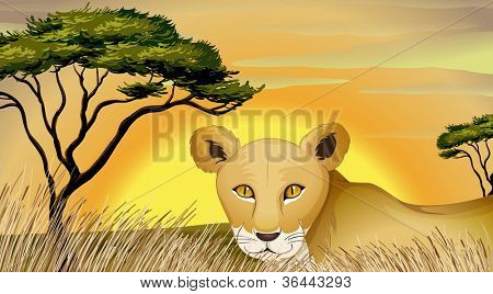 Tiger und Baum in der Natur