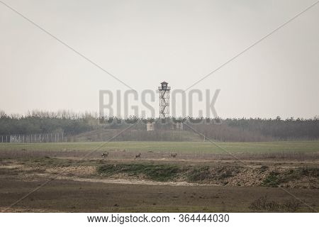 Serbia & Hungary Border Between Kelebia & Tompa, With A Watchtower The Hungarian Border Fence And De