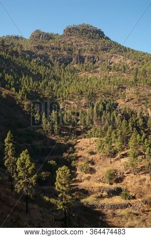 Las Brujas Mountain, Integral Natural Reserve Of Inagua.