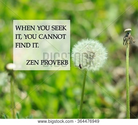 Zen Quotes To Feel Peaceful Blurred Nature Background. Card With Text Sign For Believers. Inspiratio