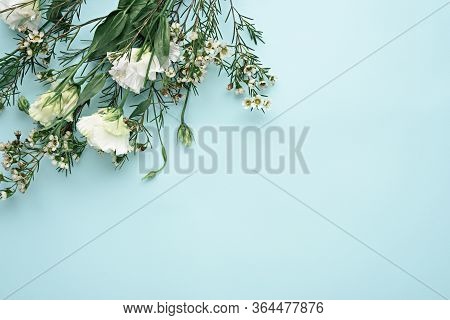 White Eustoms In Corner Of Blue Background With Copy Space, Space For Text, Top View