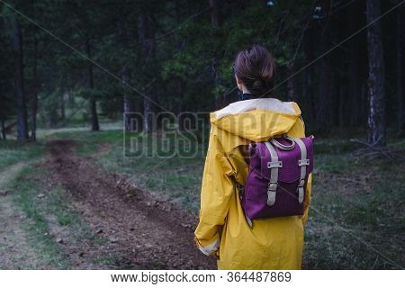 Woman In Forest Nature In Vacation. Woman In Nature. Green Forest Nature. Vacation. Natural Environm
