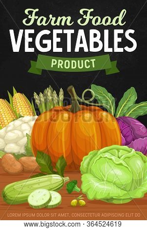 Vegetables Fresh Food Harvest, Vector Farm Market Veggies Poster. Bio Vegetables Pumpkin, Corn And Z
