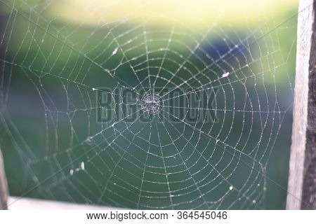 A Spider Web On A Fence At The Country Side. Green Grass In The Background, Rural Setting. No Spider