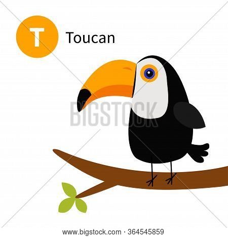 Letter T. Toucan. Toco. Big Beak. Exotic Tropical Bird. Zoo Animal Alphabet. English Abc With Cute C