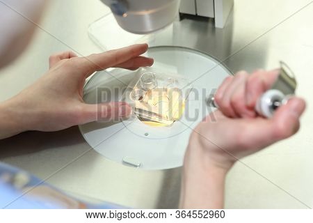 Clinic Of Reproductive Medicine. Artificial Insemination. Clinic Of Artificial Conception. Sperm Fre