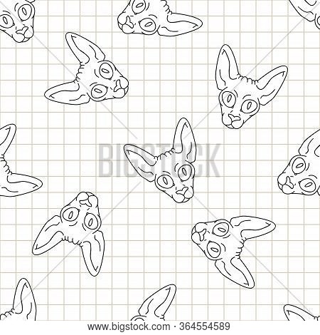 Cute Cartoon Monochrome Sphynx Kitten Face Seamless Vector Pattern. Pedigree Exotic Kitty Lineart Br