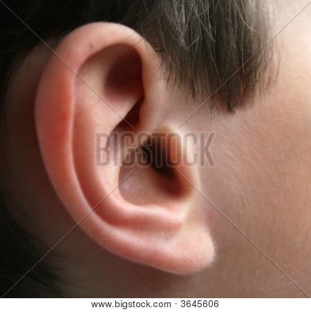 Closeup boy's Ohr