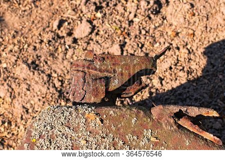 Close-up View Of Narrow Neck Of Old Smashed Rusty Jerrican. Old Rusty Metal Surface With Moss Of Jer