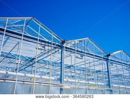Modern Glass Greenhouses Against The Blue Sky.