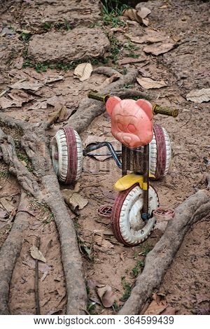 An Old, Ruined Lone And Left And Child Tricycle With A Pink Bear Head Among The Roots Of A Spung Tre