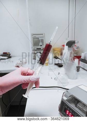 Syringe With Blood For Transfusion In The Hands Of A Veterinaria