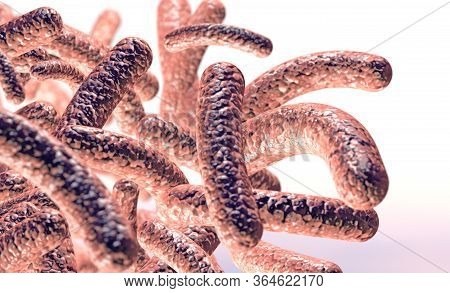 3d Illustration Of Microscopic Image Of A Virus Or Infectious Cell.microbacteria And Bacterial Organ