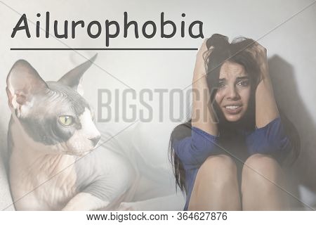 Woman Suffering From Ailurophobia On White Background. Irrational Fear Of Cats