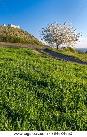 Spring landscape near Pavlov with Devicky ruins in Palava, Southern Moravia, Czech Republic