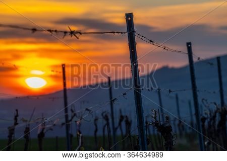 Sunrise in Palava with Devicky ruins, Southern Moravia, Czech Republic