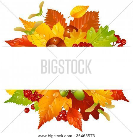 Cornice autunnale vettoriale con foglia caduta, castagno, ghianda e ashberry