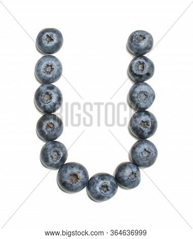 Alphabet Letter U Arranged From Northern Highbush Blueberry Isolated