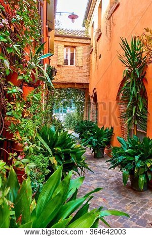 Small garden with plants in flowerpots in narrow alley in San Giovanni in Marignano, Italy - Italian cityscape