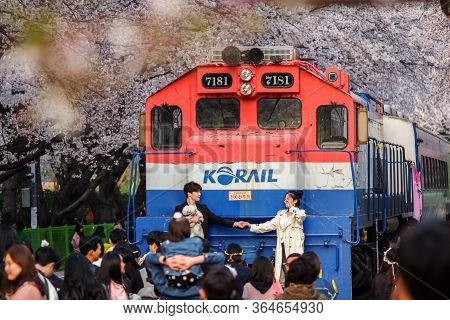 Jinhae, South Korea - April 2, 2019: Tourists Taking Photos Of The Beautiful Scenery Around Train Be