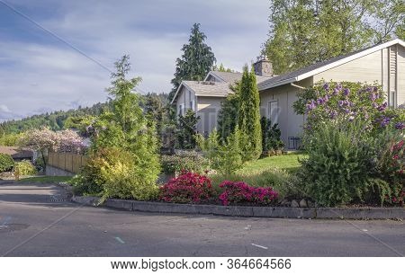 Spring Blooms Colorful Flowers In A Neighborhood Gresham Oregon.