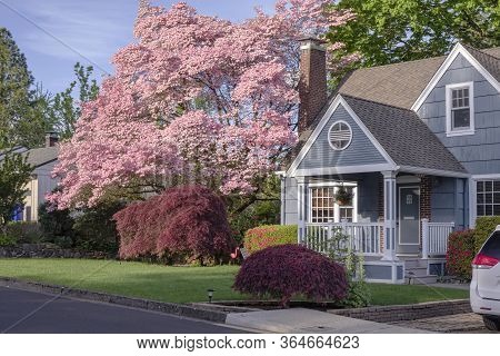 Family Home And Garden In Gresham Oregon Surrounded In Spring Colors.
