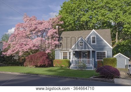 Family Home And Garden In Gresham Oregon Surrounded In Spring Colors.