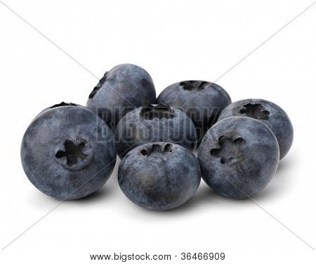 Blåbær eller whortleberries udskæring isoleret på hvid baggrund