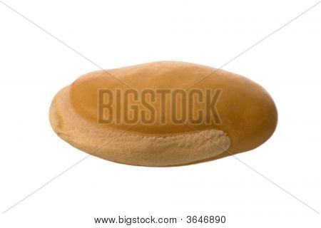 Lablab Bean Macro
