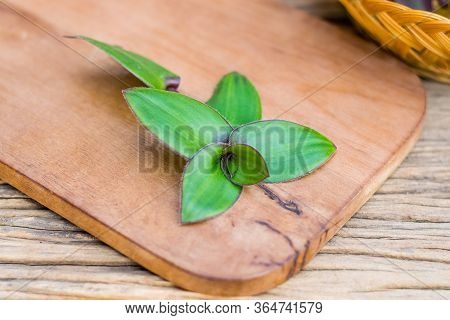 River Spiderwort Leaf Organic Herbs On The Old Wooden Table, Thai Herbs.