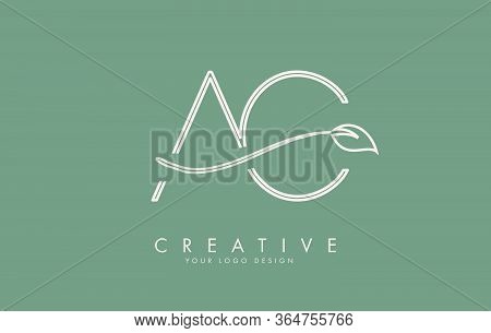 Leaf Cut Ac C Letters Vector & Photo (Free Trial) | Bigstock