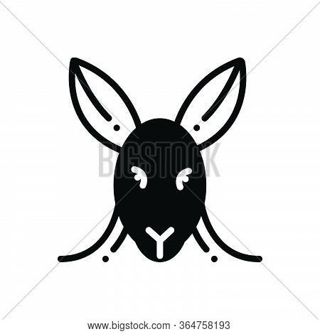 Black Solid Icon For Kangaroo Animal Face