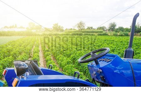 Blue Tractor In A Paprika Pepper Plantation Field. Farming And Agricultural Industry. Cultivation An