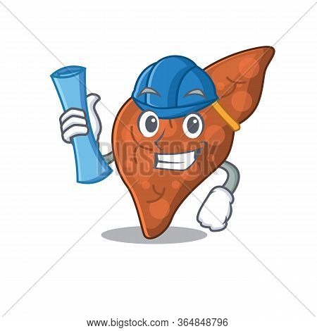 Cartoon Character Of Human Fibrosis Liver Brainy Architect With Blue Prints And Blue Helmet