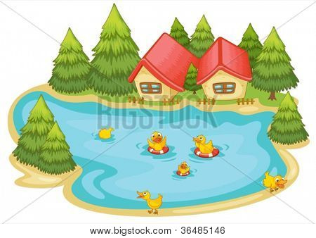 자연에서 연못에서 ducklings의 그림