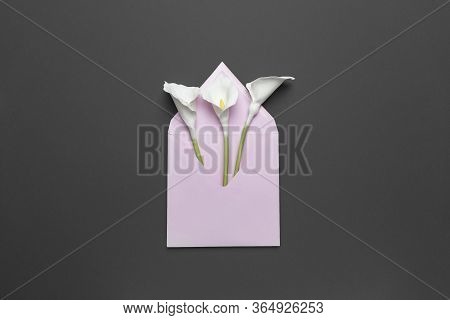 Fresh Calla Flowers In A Mail Envelope On A Gray Background. Creative Birthday Greetings Or Romantic