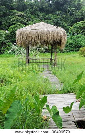 Bungalow en pasto