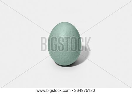 Araucana Egg Isolated On White Background. Blue Or Green Eggs From Araucana Chicken