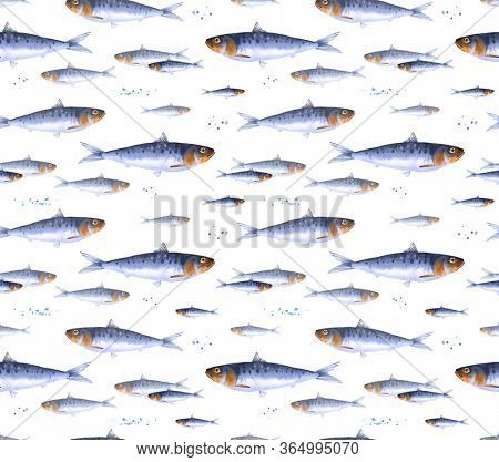 Watercolor herring fish seamless pattern. Background, wrapping paper for fishing or marine design