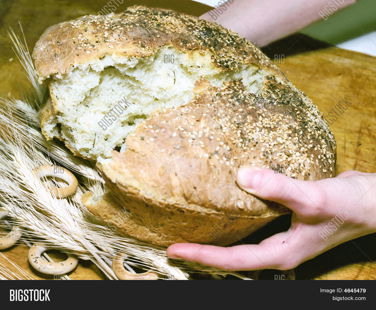 Image Preview