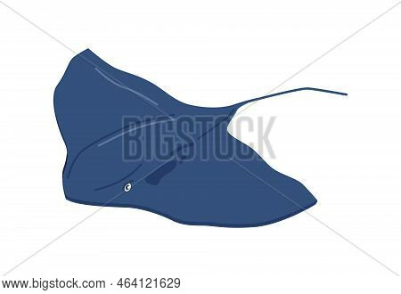Mobula Mobular Isolated Devil Fish, Underwater Animals And Dwellers Of Sea Or Ocean. Ecosystem And E