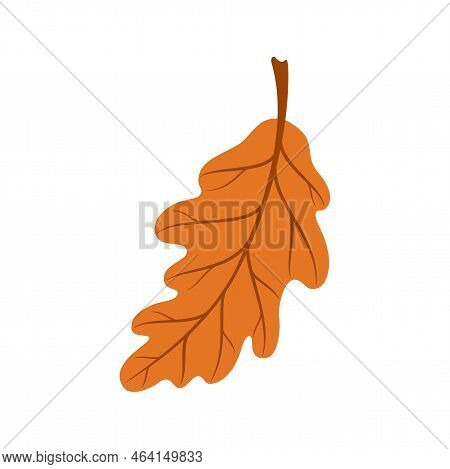 Acorn Tree Leaf Isolated Orange Oak Spring Leafage Cartoon Icon. Vector Herbarium Object, Summer Lea
