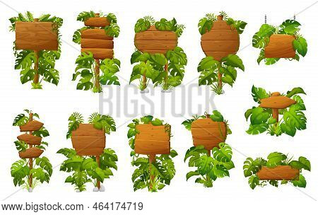 Wooden Signs And Boards With Tropical Jungle Monstera Leaves, Vector Signboards. Cartoon Wooden Arro