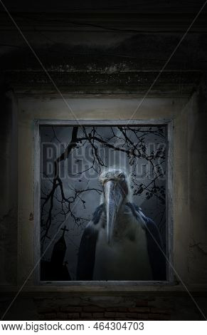 Lesser Adjutant Stork Bird Standing In Old Damaged Wood Window With Wall Over Cross, Church, Dead Tr